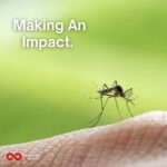 A mosquito on a person's arm, with the words Making an Impact above the image