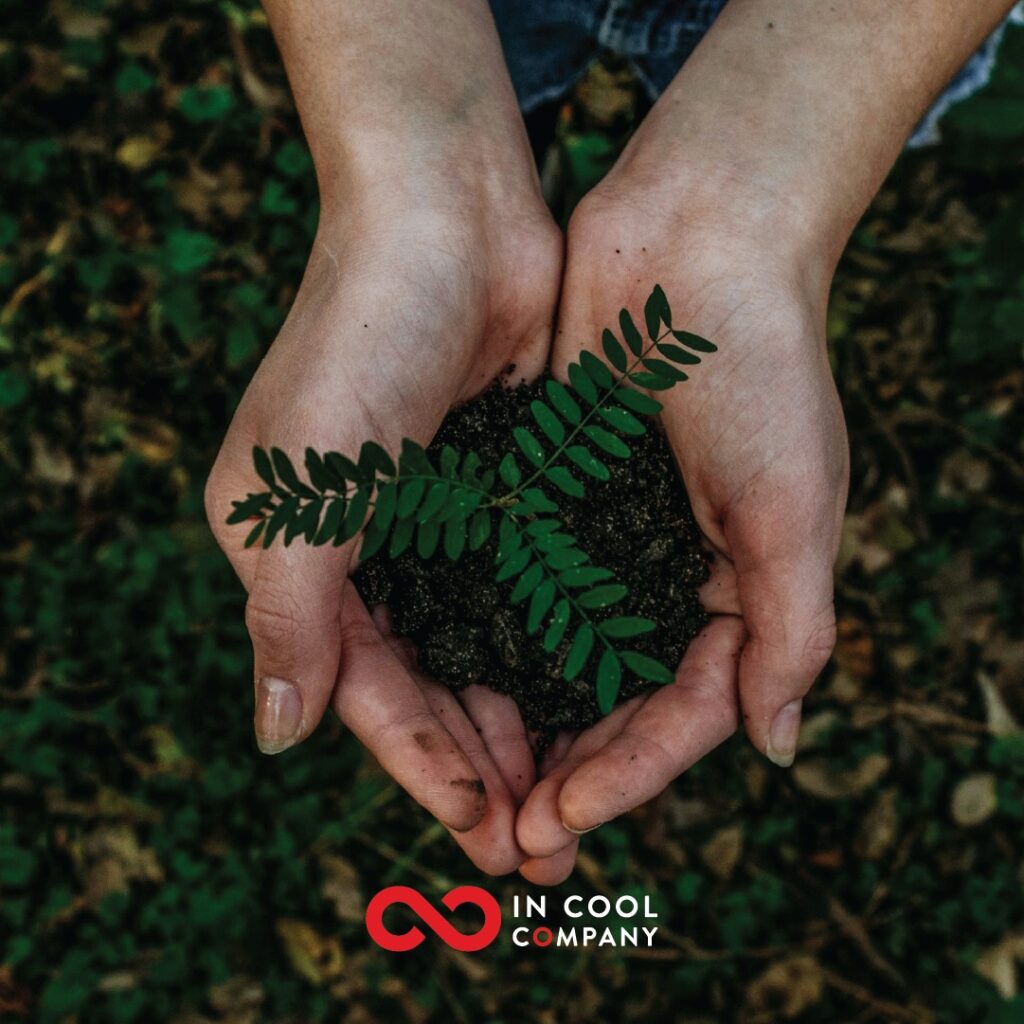 Someone's hands are cupped and holding a small green plant in fresh soil