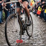 A cyclist rides on a cobbled road with crowds lining the route